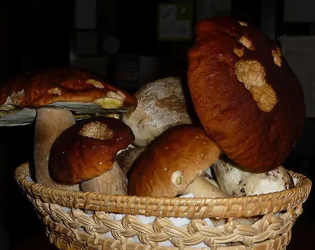 San Gallo Πανσιόν *